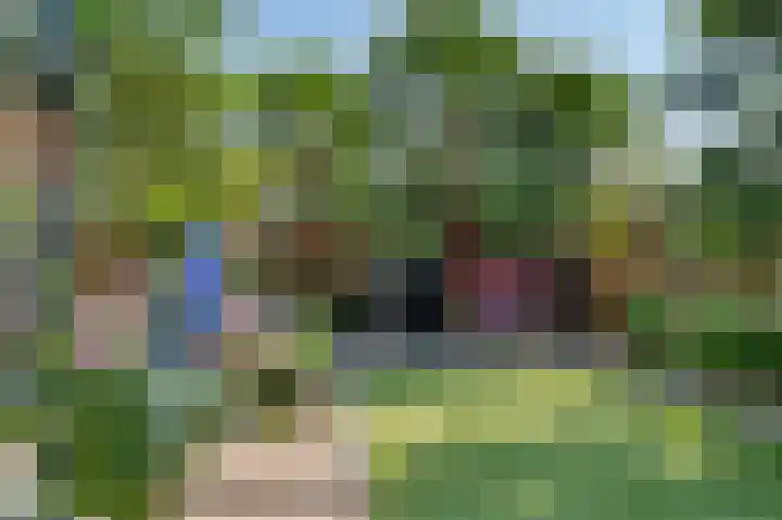 Schietwilg 14 Sint-Oedenrode thumbnail 30