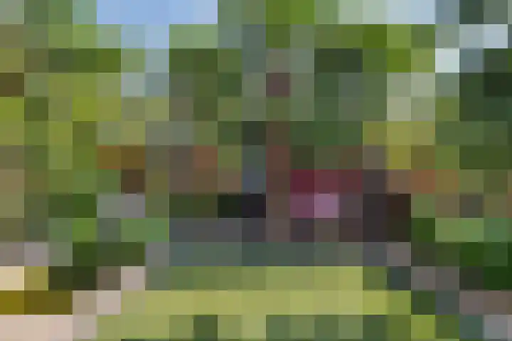 Schietwilg 14 Sint-Oedenrode thumbnail 31