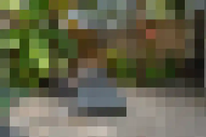 Schietwilg 14 Sint-Oedenrode thumbnail 32