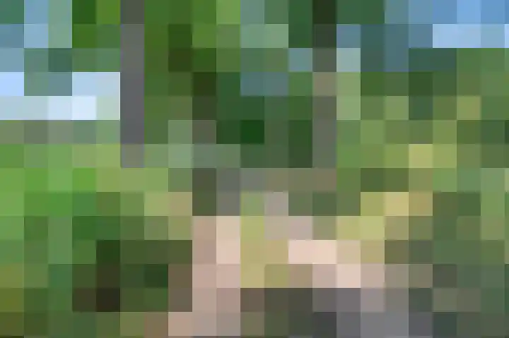 Schietwilg 14 Sint-Oedenrode thumbnail 34