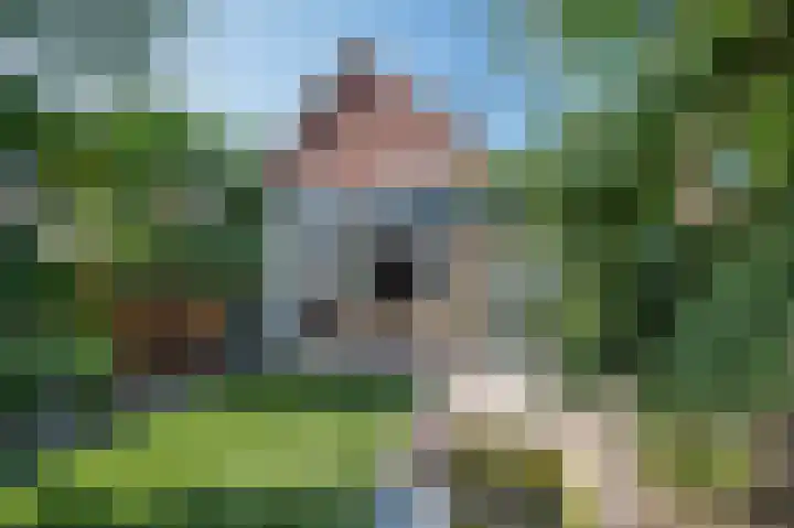 Schietwilg 14 Sint-Oedenrode thumbnail 4