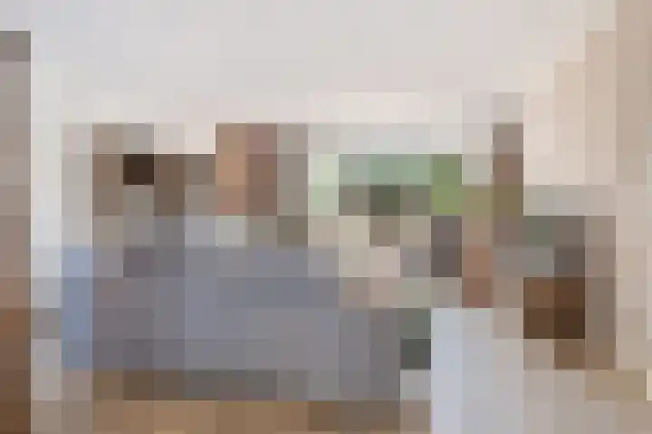 Schietwilg 14 Sint-Oedenrode thumbnail 7