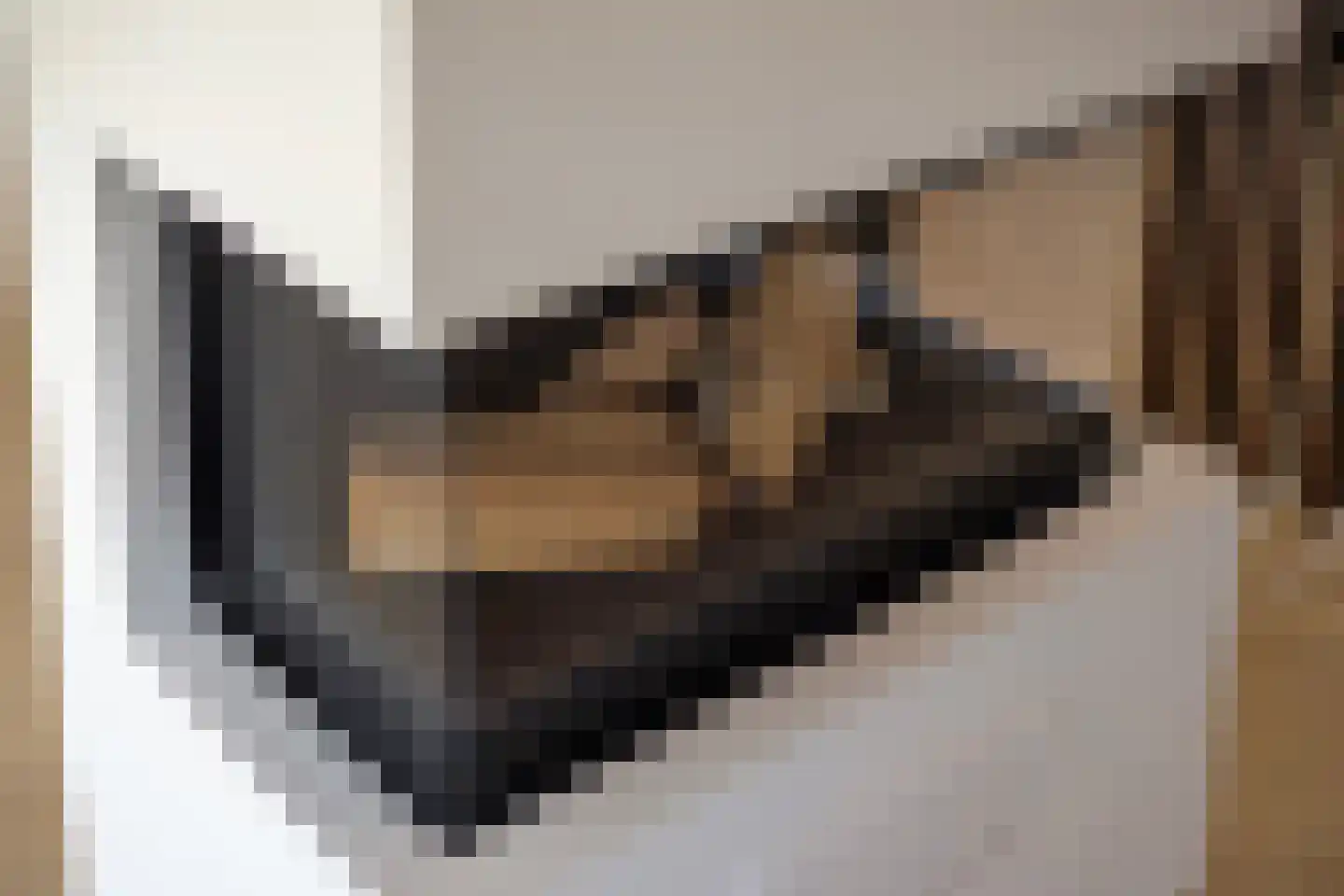 Schietwilgendreef 16 Kamperland thumbnail 10