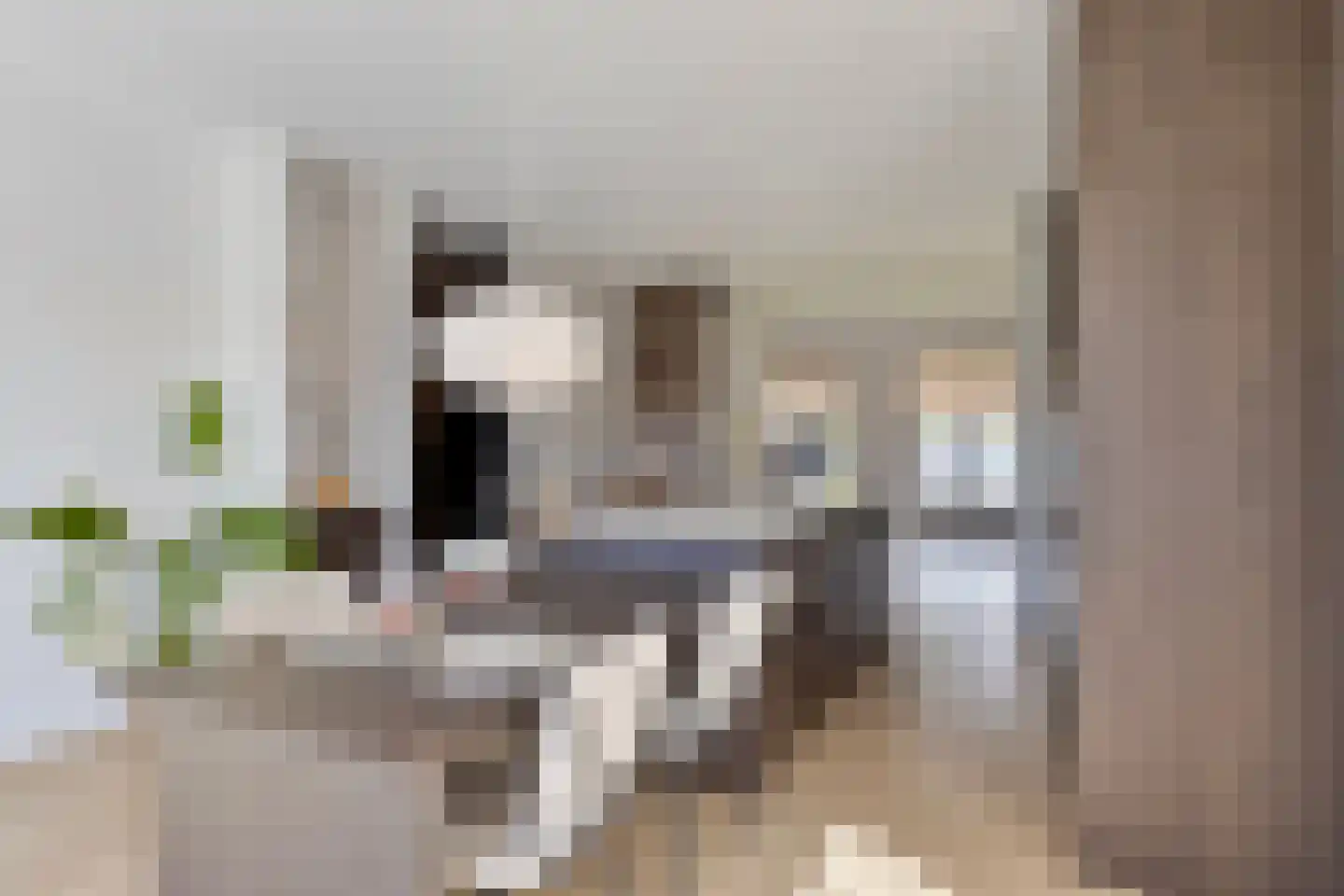 Schietwilgendreef 16 Kamperland thumbnail 16