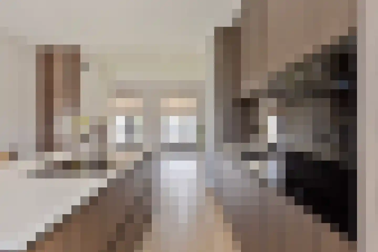 Schietwilgendreef 16 Kamperland thumbnail 18
