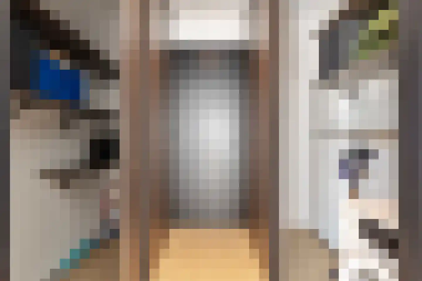 Schietwilgendreef 16 Kamperland thumbnail 26