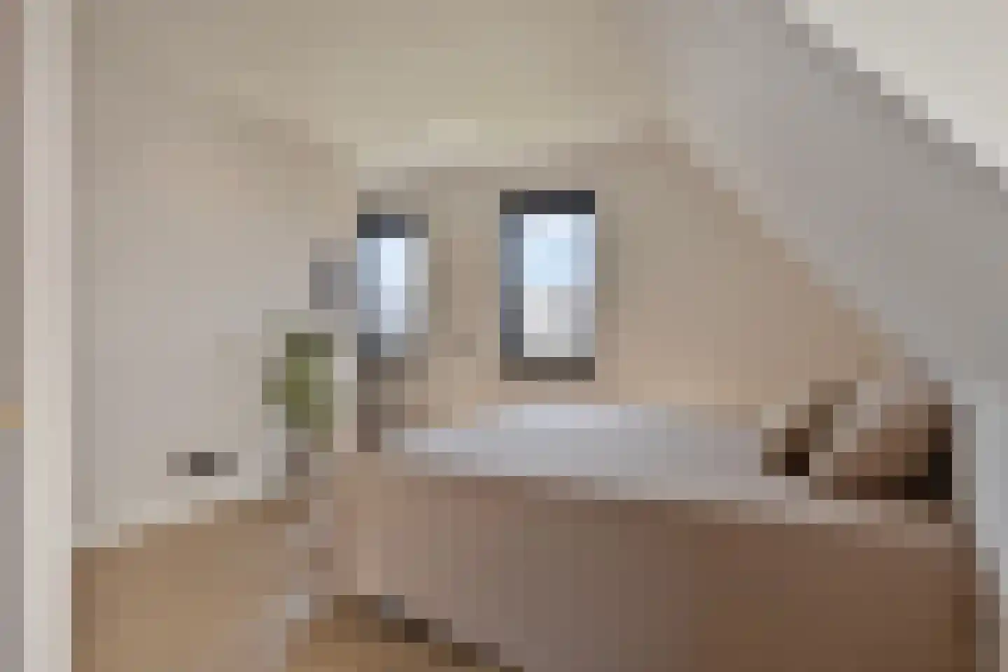 Schietwilgendreef 16 Kamperland thumbnail 33
