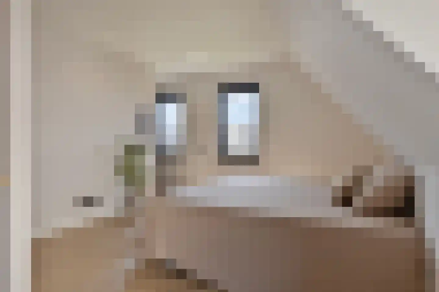 Schietwilgendreef 16 Kamperland thumbnail 34