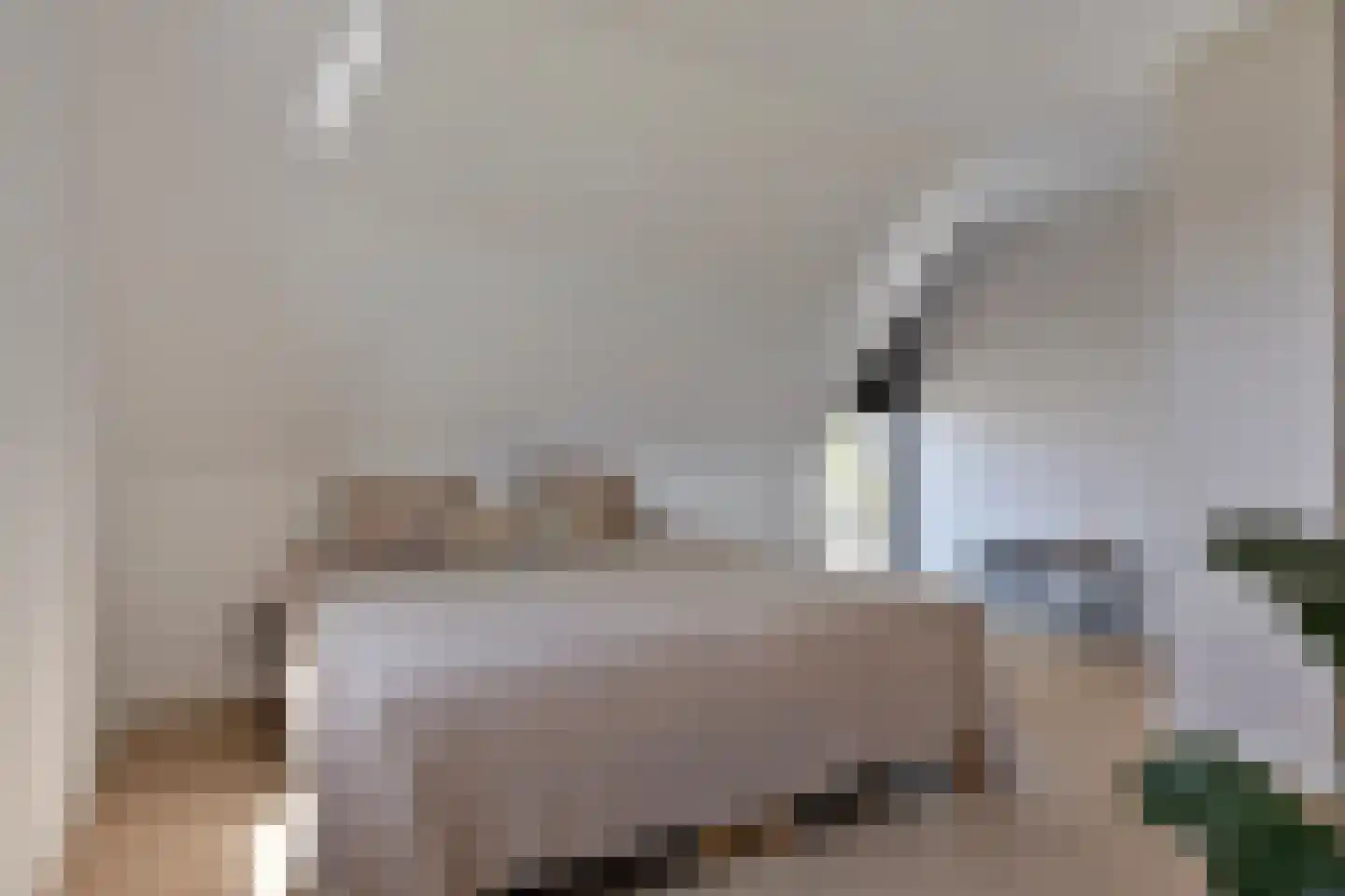 Schietwilgendreef 16 Kamperland thumbnail 35