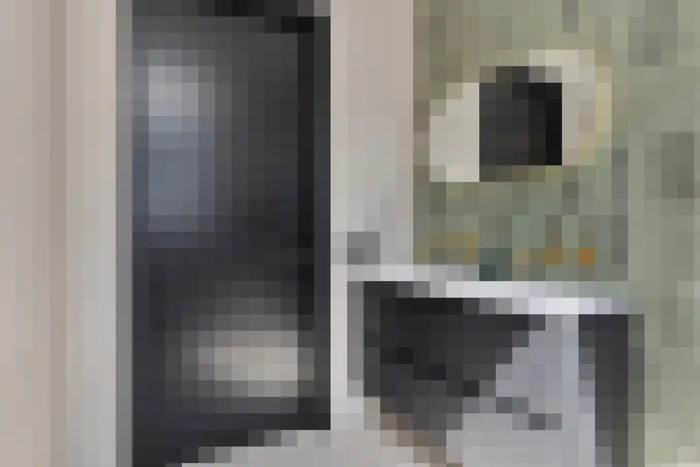 Schietwilgendreef 16 Kamperland thumbnail 46
