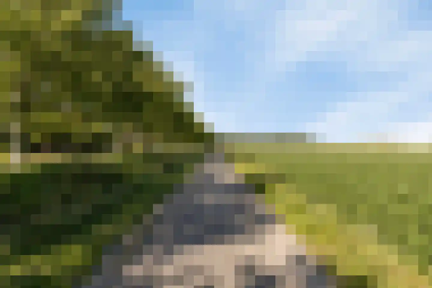 Schietwilgendreef 16 Kamperland thumbnail 71