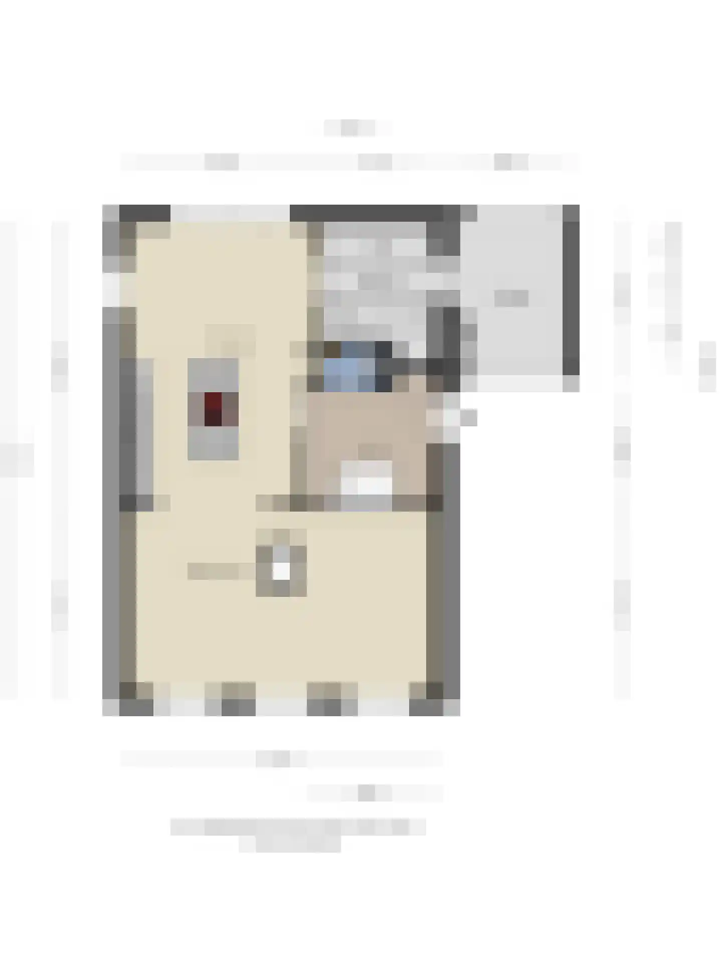 Schietwilgendreef 16 Kamperland thumbnail 73