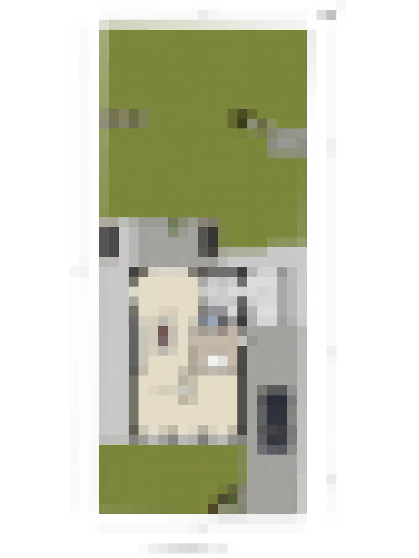 Schietwilgendreef 16 Kamperland thumbnail 75