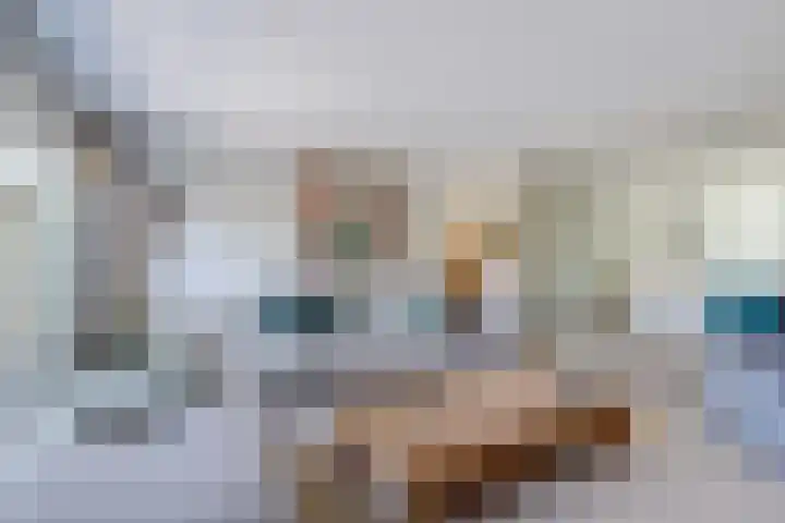 Schietwilgendreef 2 Kamperland thumbnail 12
