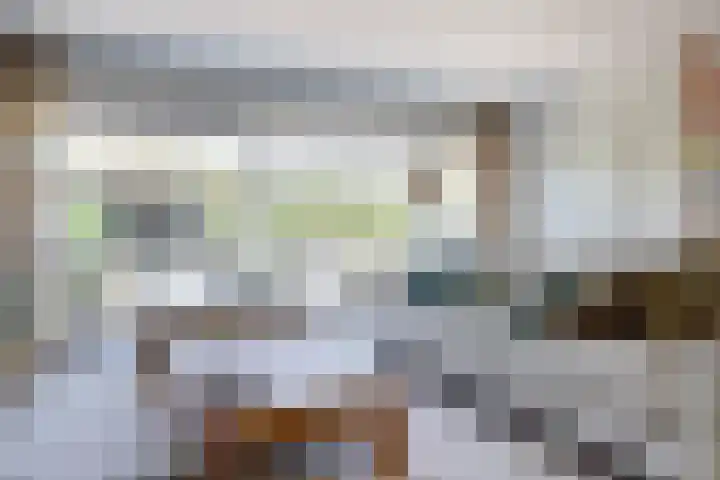 Schietwilgendreef 2 Kamperland thumbnail 15