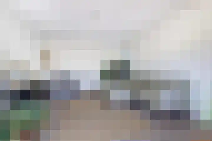 Schietwilgendreef 2 Kamperland thumbnail 16