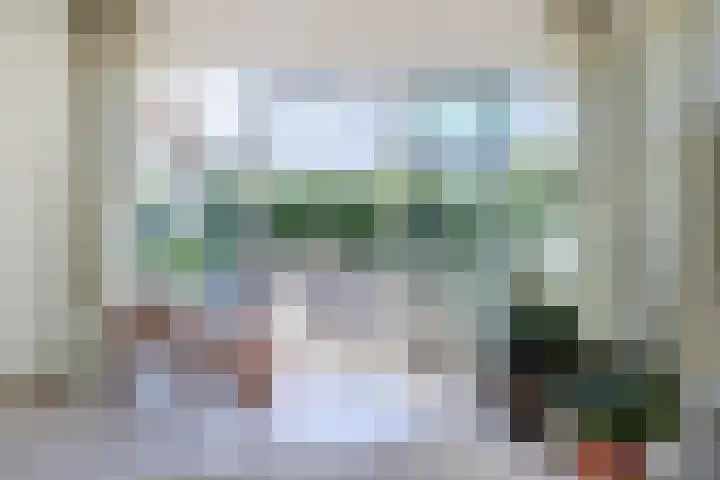 Schietwilgendreef 2 Kamperland thumbnail 18