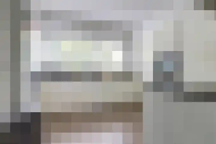 Schietwilgendreef 2 Kamperland thumbnail 19