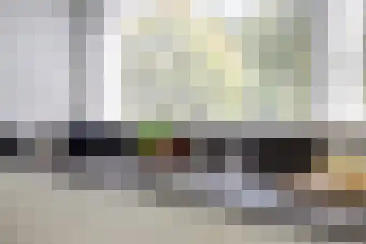 Schietwilgendreef 2 Kamperland thumbnail 23