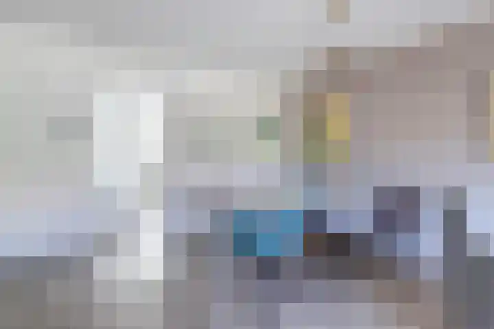 Schietwilgendreef 2 Kamperland thumbnail 24