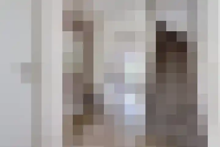 Schietwilgendreef 2 Kamperland thumbnail 25