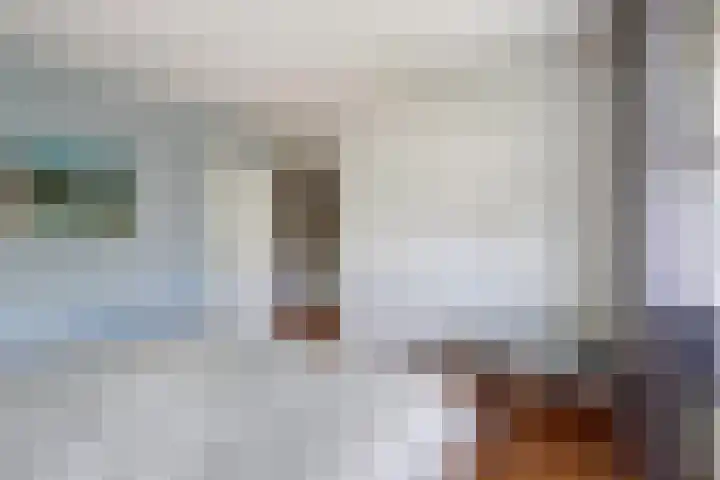 Schietwilgendreef 2 Kamperland thumbnail 27