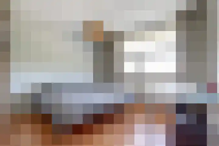Schietwilgendreef 2 Kamperland thumbnail 28