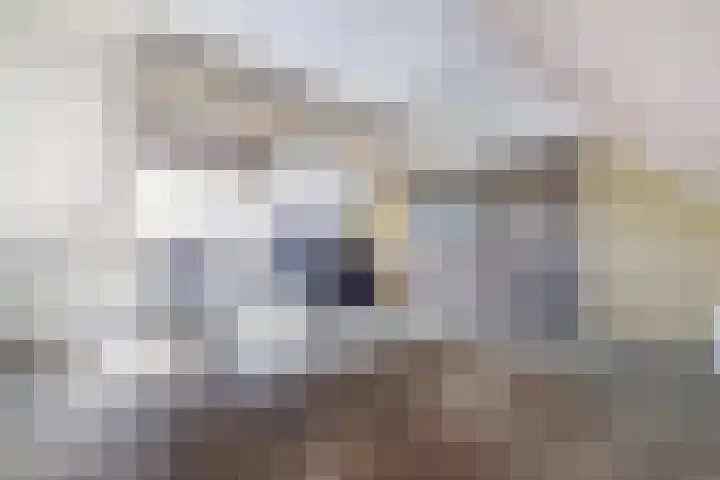 Schietwilgendreef 2 Kamperland thumbnail 32