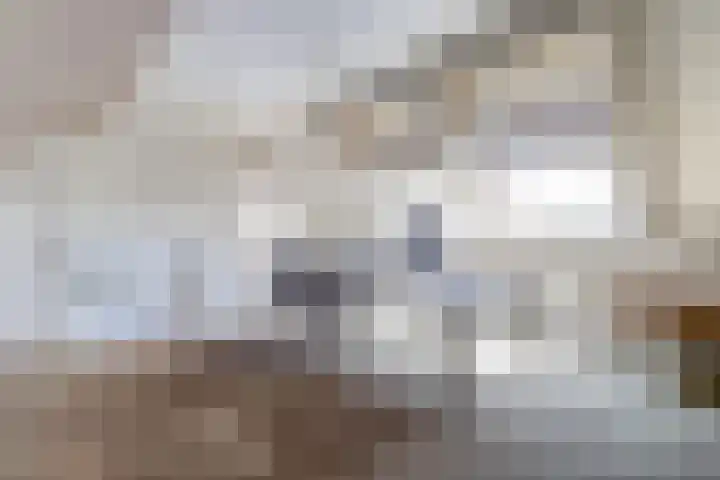 Schietwilgendreef 2 Kamperland thumbnail 33