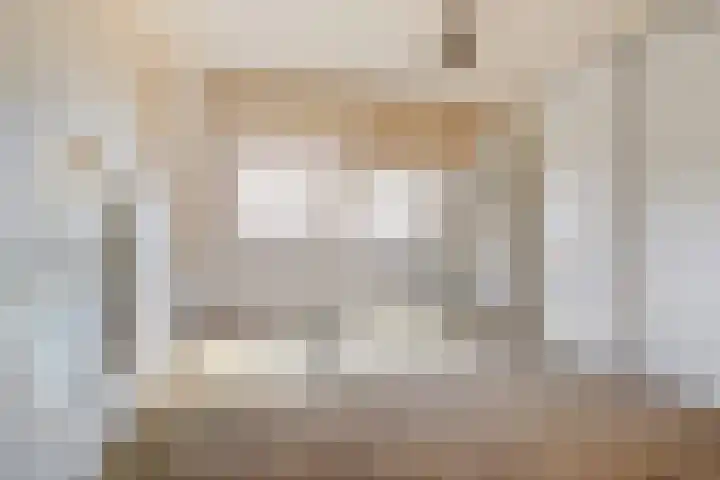 Schietwilgendreef 2 Kamperland thumbnail 34