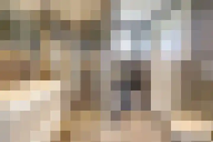 Schietwilgendreef 2 Kamperland thumbnail 38