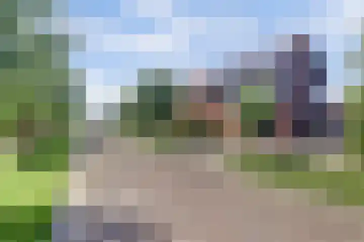 Schietwilgendreef 2 Kamperland thumbnail 4