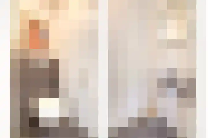 Schietwilgendreef 2 Kamperland thumbnail 40