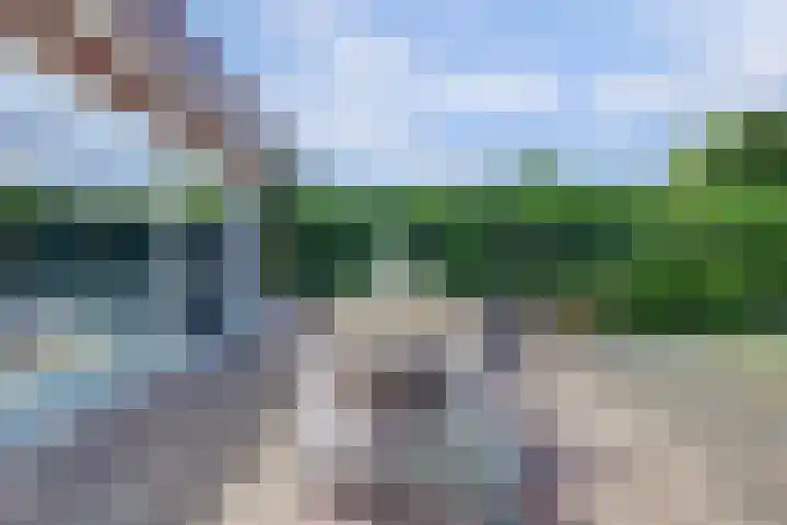 Schietwilgendreef 2 Kamperland thumbnail 42
