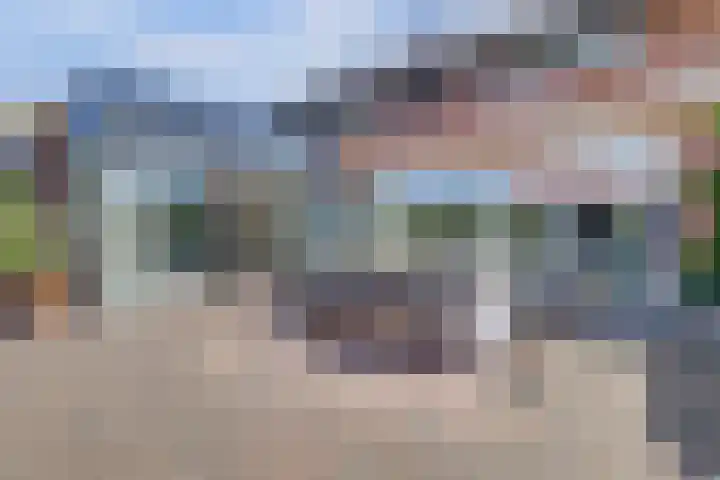 Schietwilgendreef 2 Kamperland thumbnail 43