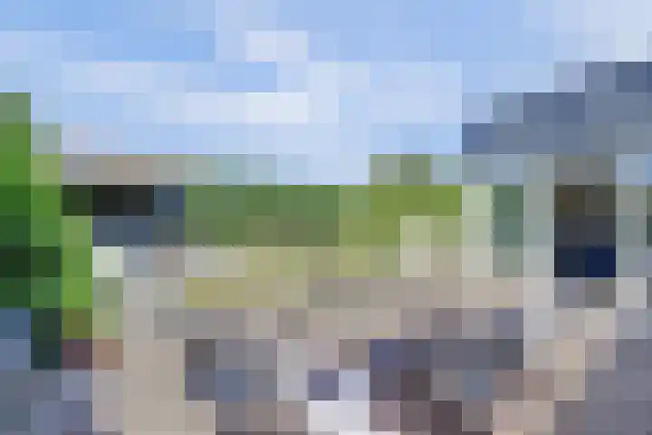 Schietwilgendreef 2 Kamperland thumbnail 44