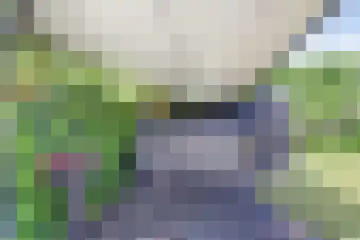 Schietwilgendreef 2 Kamperland thumbnail 45