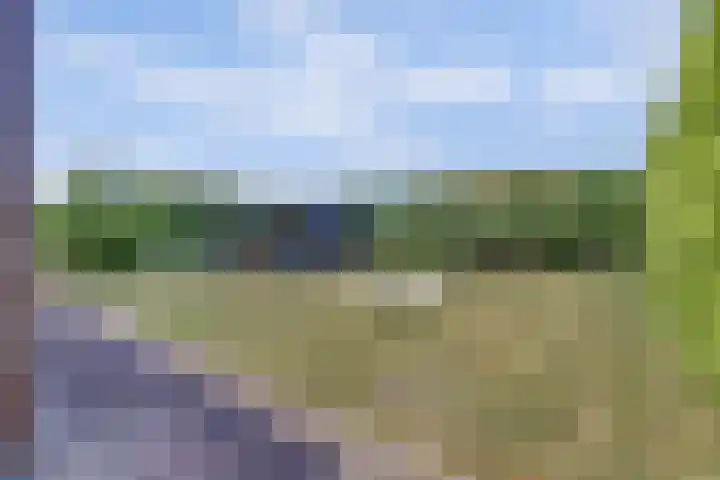 Schietwilgendreef 2 Kamperland thumbnail 46