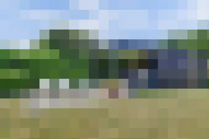 Schietwilgendreef 2 Kamperland thumbnail 47
