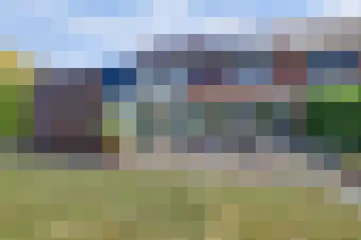 Schietwilgendreef 2 Kamperland thumbnail 48