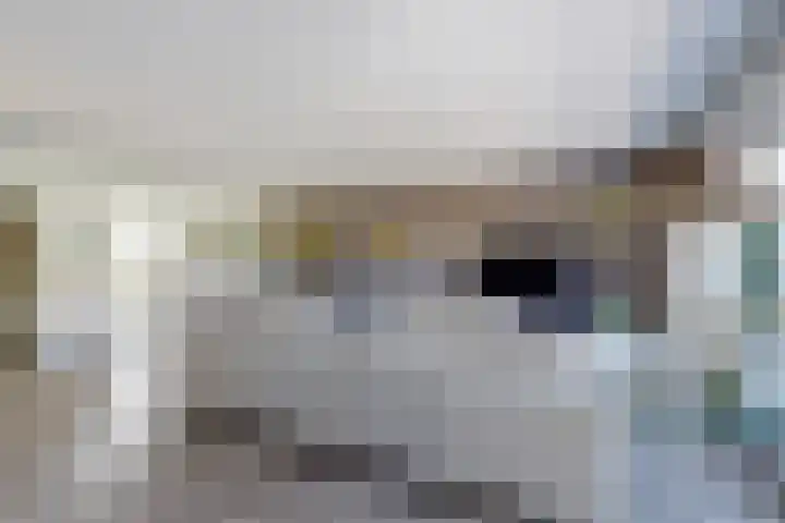 Schietwilgendreef 2 Kamperland thumbnail 9