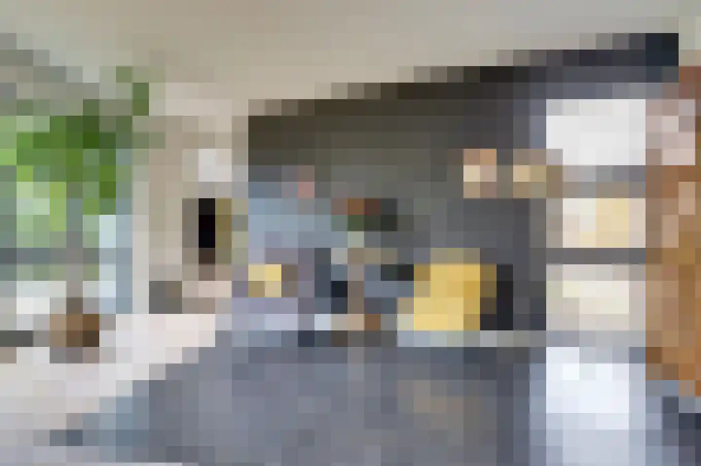 Schietwilgendreef 4 Kamperland thumbnail 11