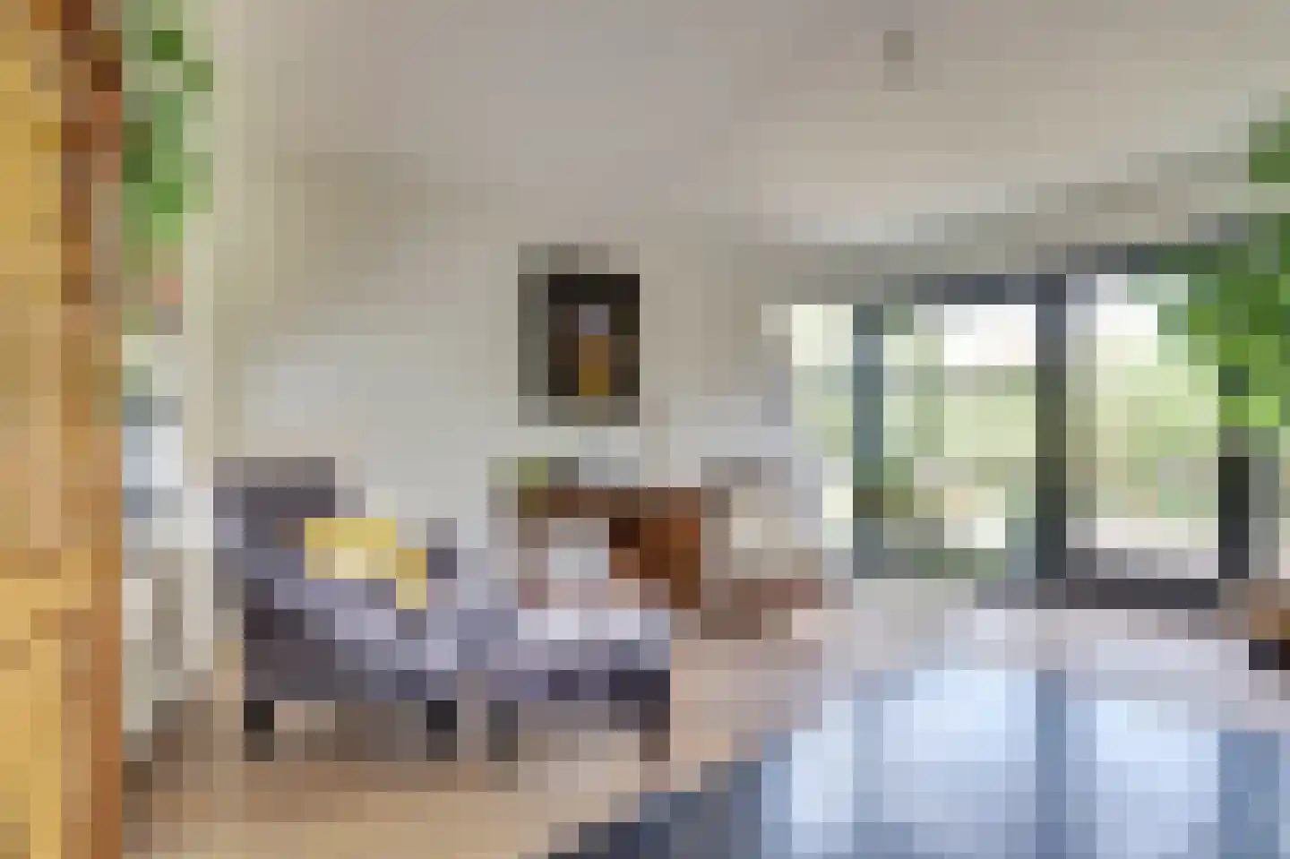 Schietwilgendreef 4 Kamperland thumbnail 12