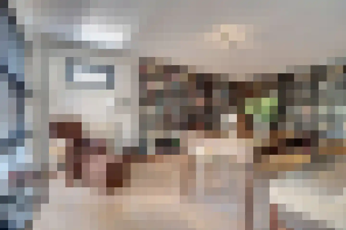 Schietwilgendreef 4 Kamperland thumbnail 13