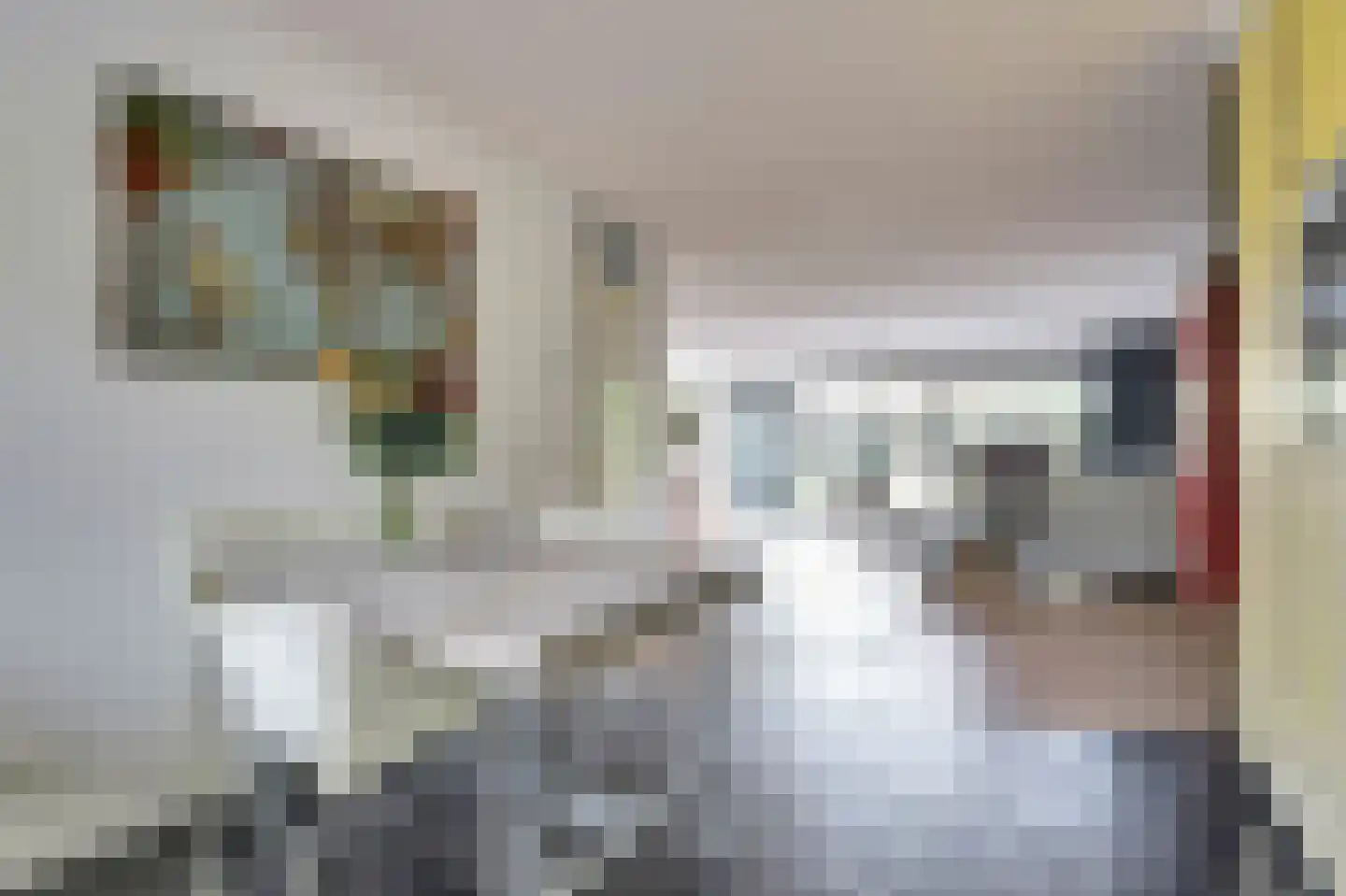 Schietwilgendreef 4 Kamperland thumbnail 16