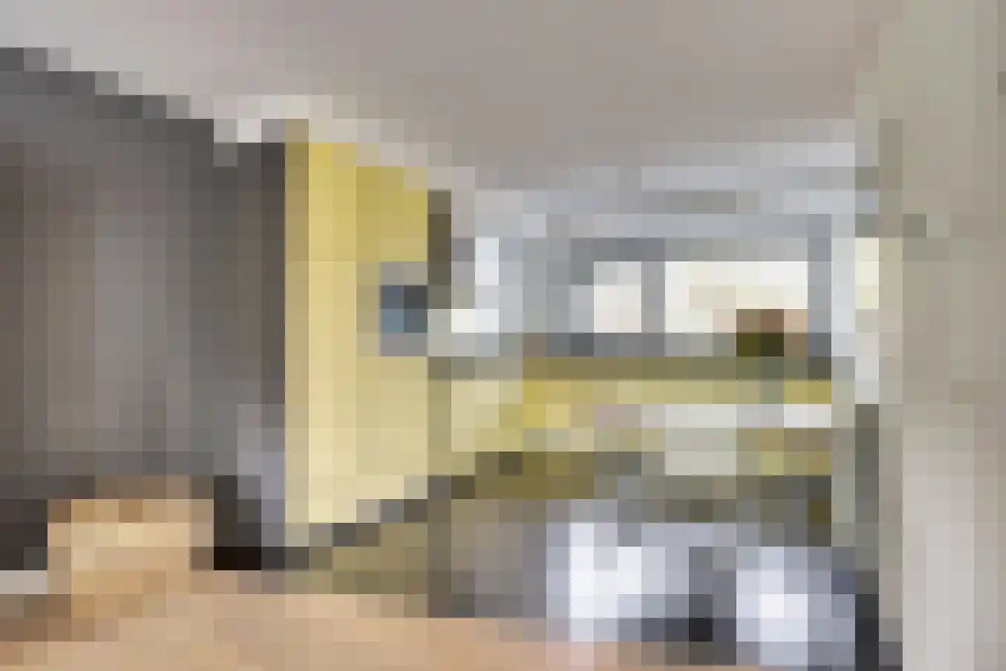 Schietwilgendreef 4 Kamperland thumbnail 17