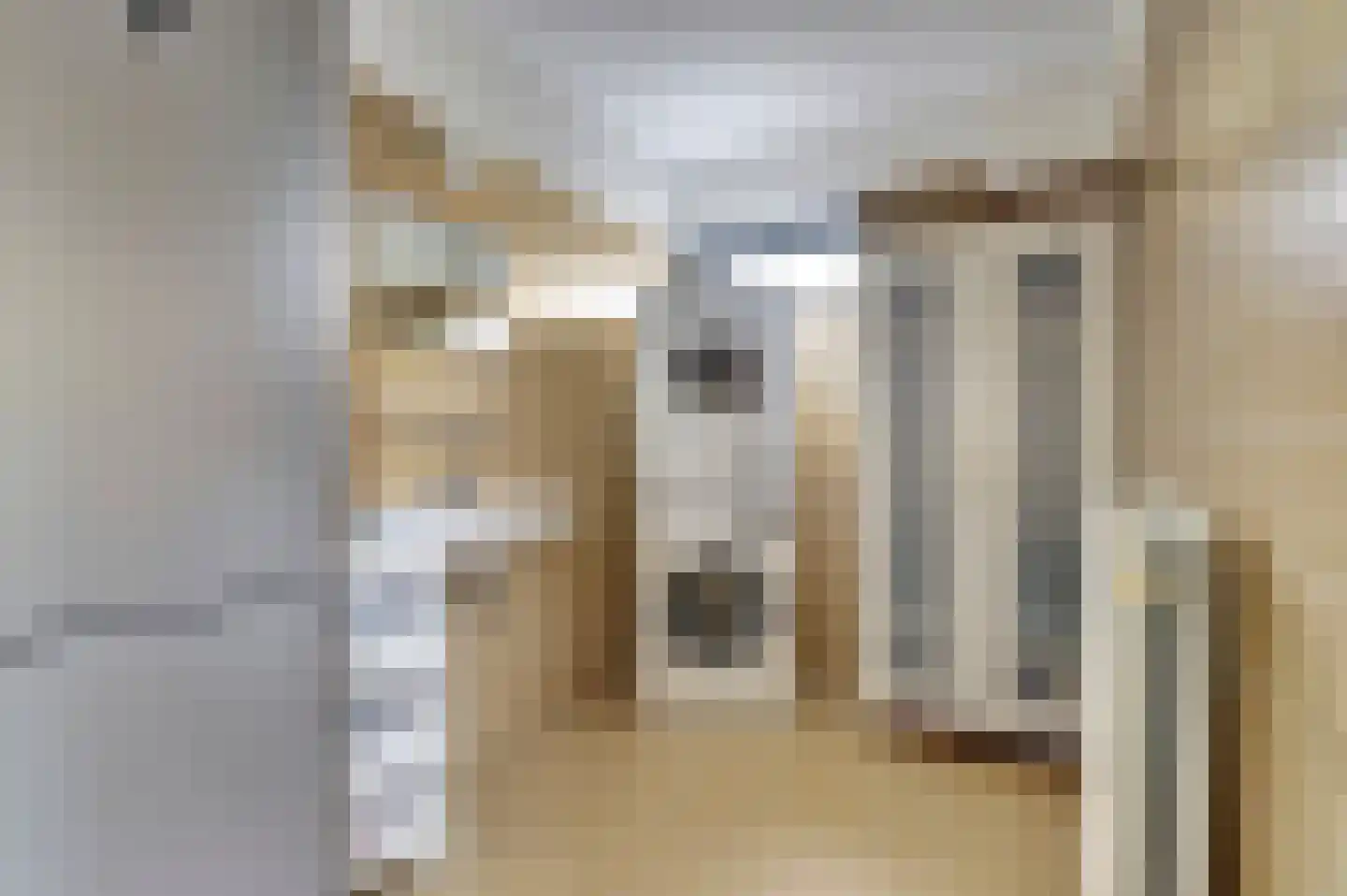 Schietwilgendreef 4 Kamperland thumbnail 20