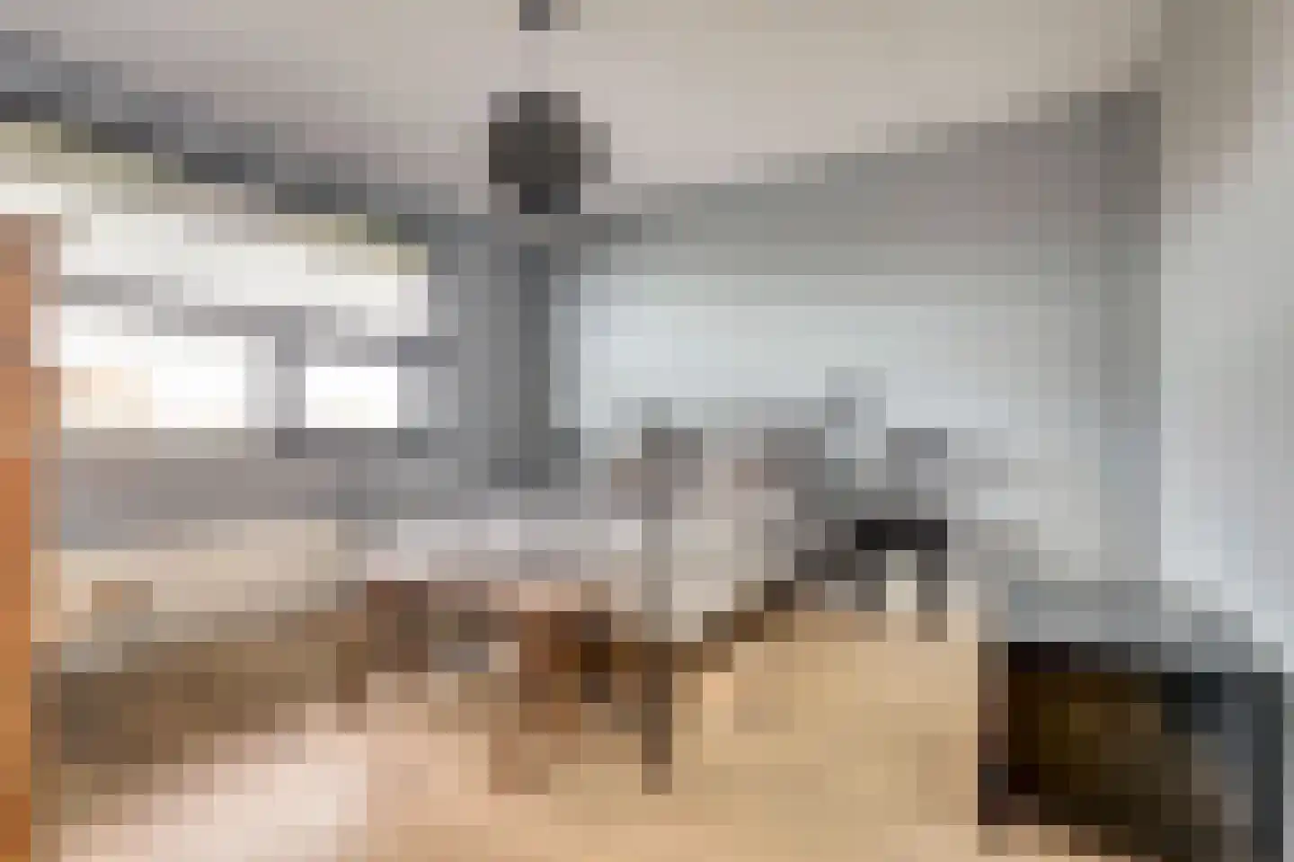 Schietwilgendreef 4 Kamperland thumbnail 23