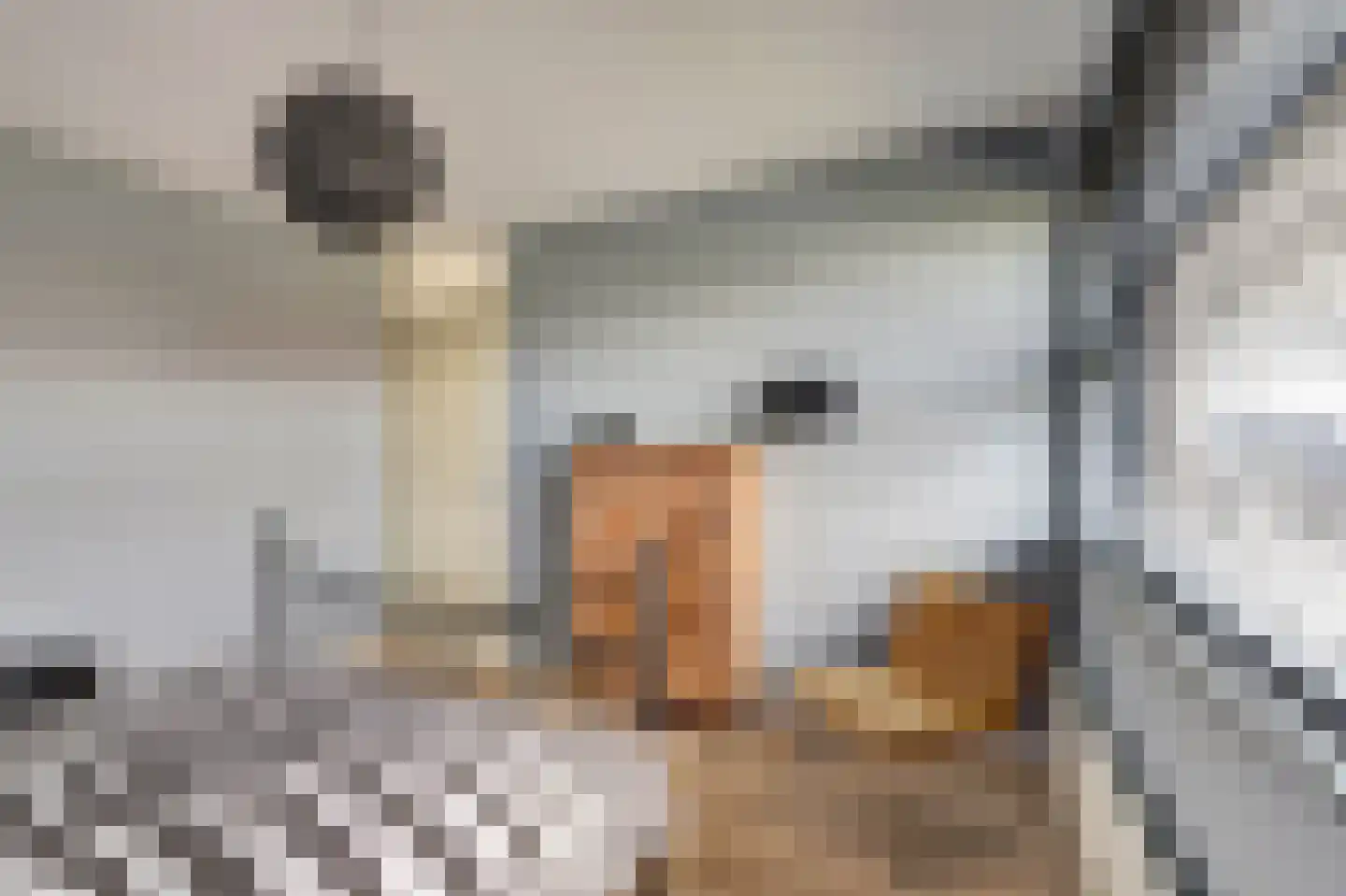 Schietwilgendreef 4 Kamperland thumbnail 24