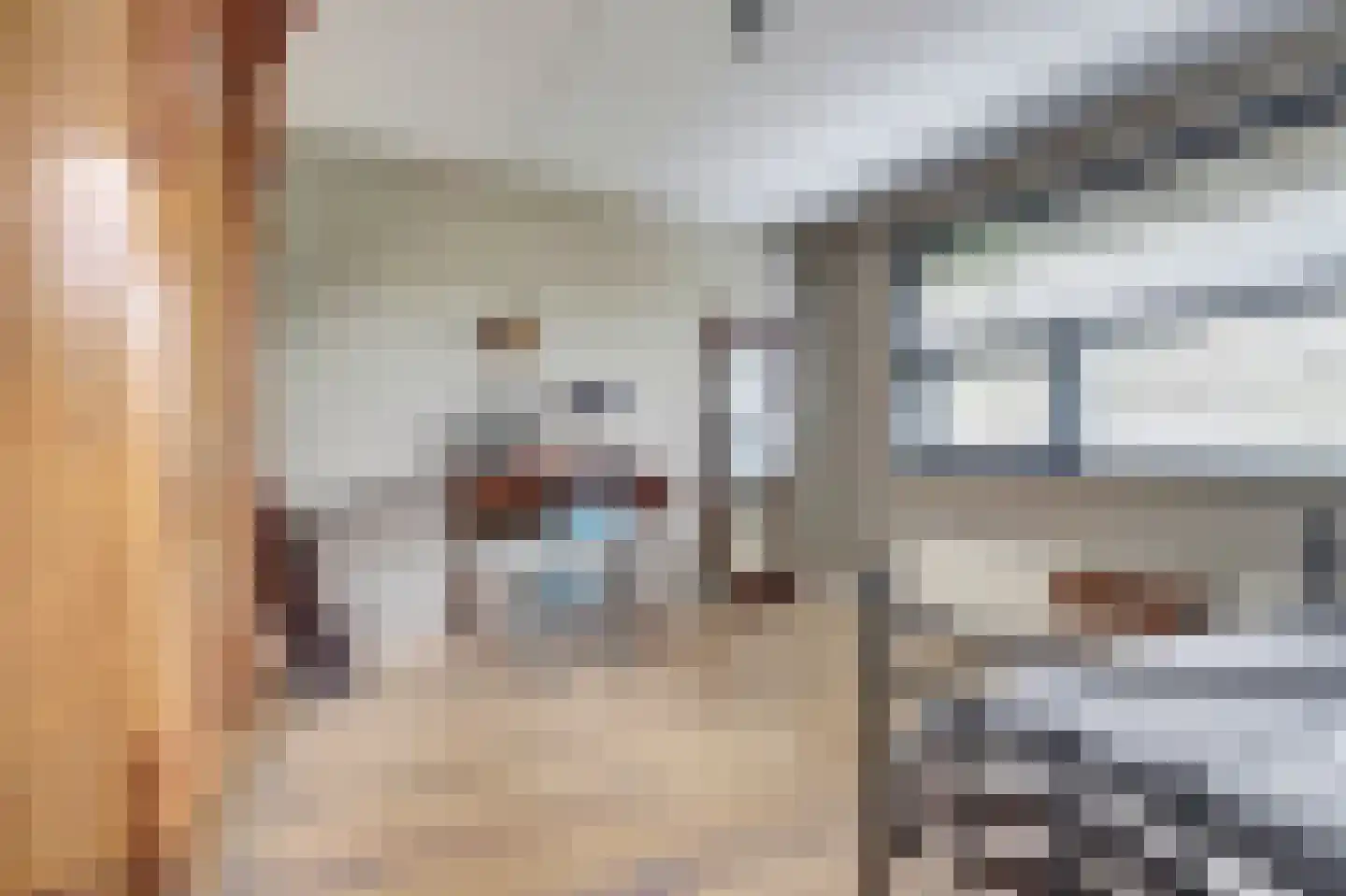 Schietwilgendreef 4 Kamperland thumbnail 25